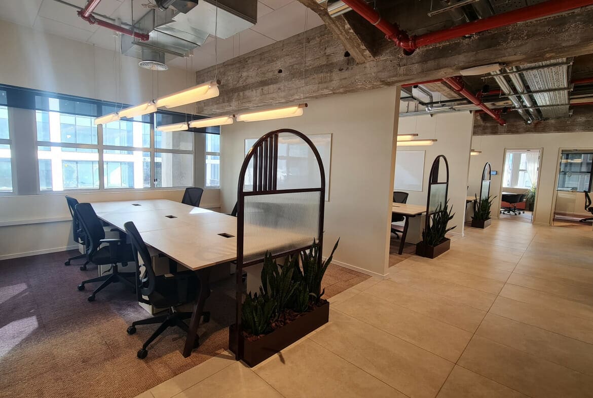 2024 תמונה לטסט