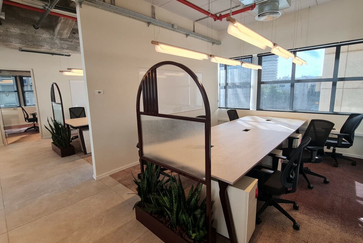 2024 תמונה לטסט