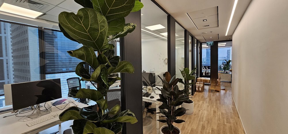 מבט על המשרד מבפנים אזור המסדרון