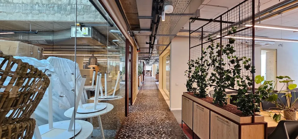 מבט כללי, מסדרון