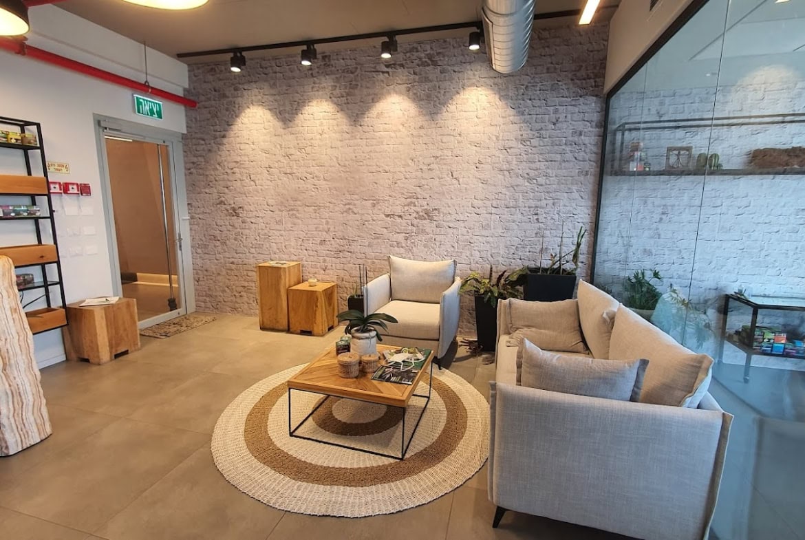 מבואת כניסה/ סלון