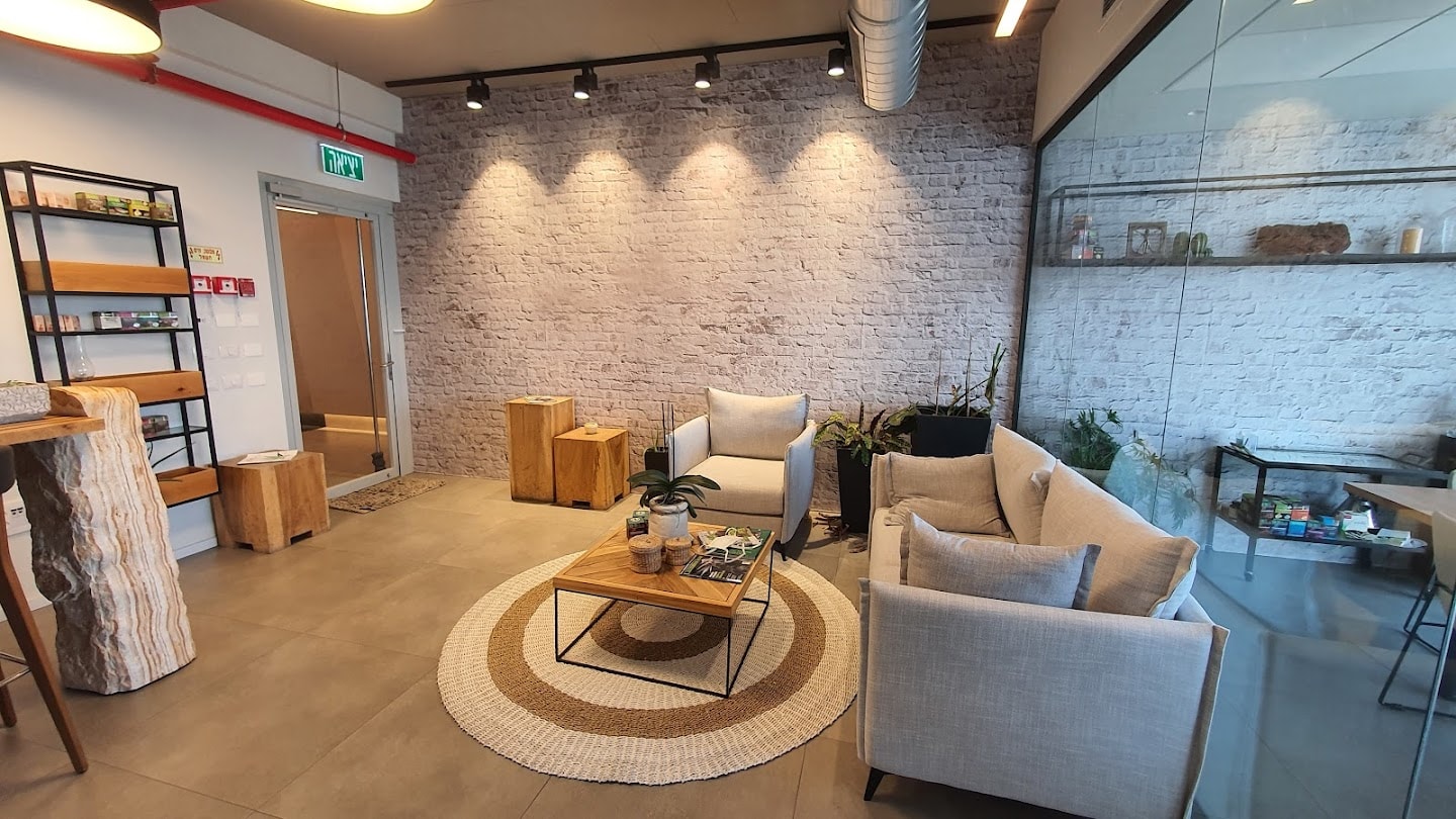 מבואת כניסה/ סלון