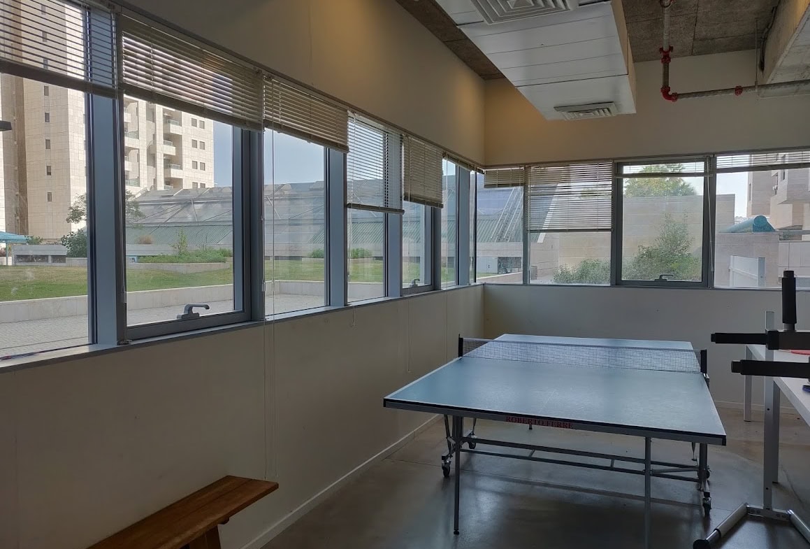 לאונג'/ חדר משחקים