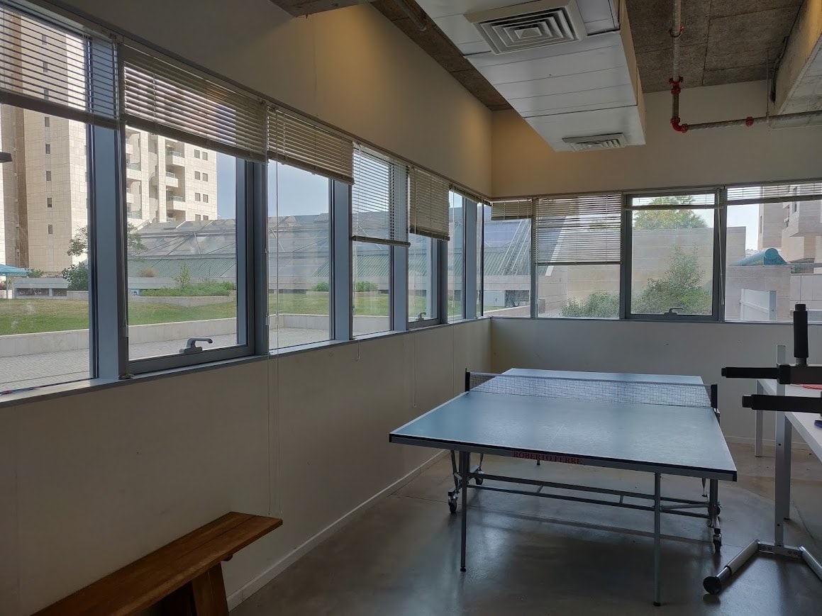 לאונג'/ חדר משחקים