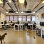 להשכרה משרד 160 מר באזור רוטשילד