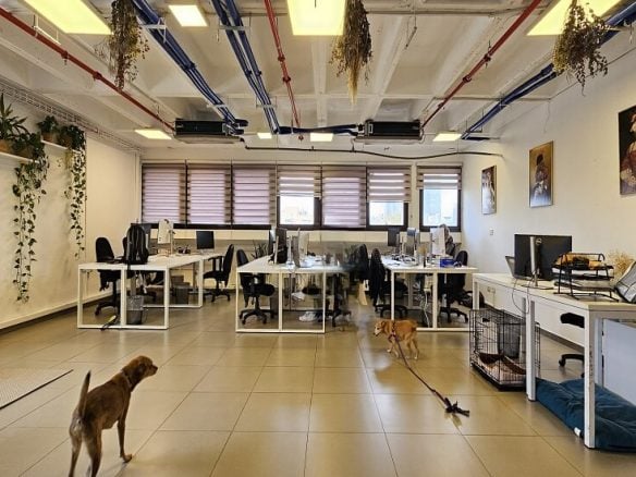 להשכרה משרד 160 מר באזור רוטשילד