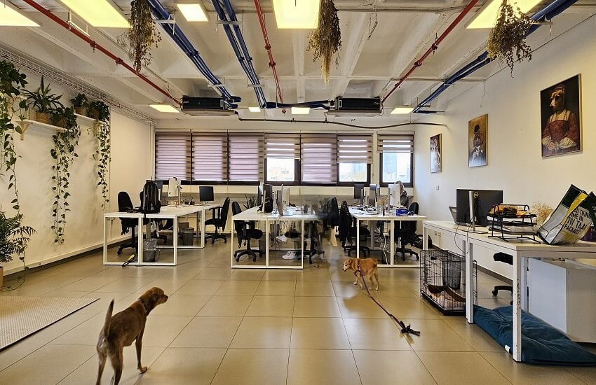 להשכרה משרד 160 מר באזור רוטשילד