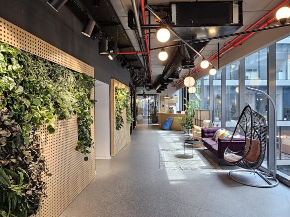 מבט כללי של המשרד- מסדרון