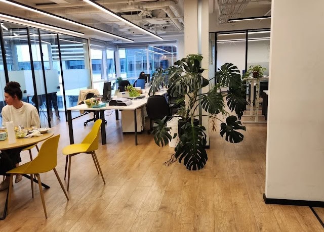 אופן ספייס ומבט כללי על המשרד