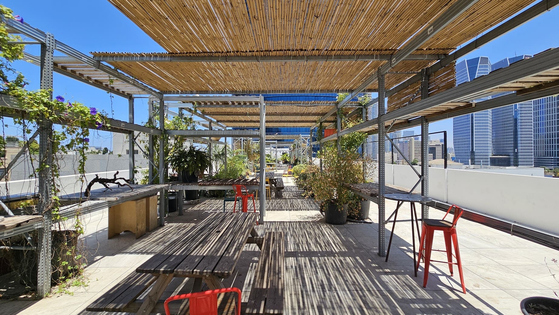 גג משותף גדול- פרגולה מגניבה