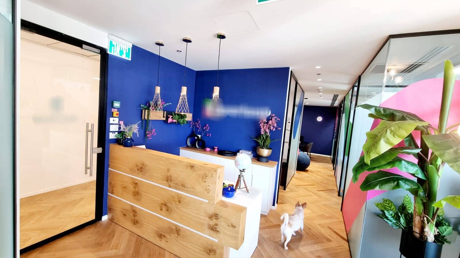 עמדת קבלה במשרד ואזור המתנה- משרד יפה ומעוצב