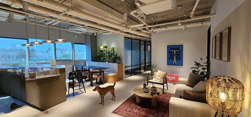 500 מר בחסן ערפה - לאונג'